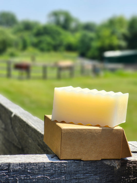 Body/face wash bar